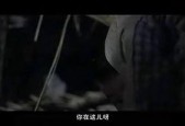 国产绳艺视频,国产视频中的传统技艺与现代演绎
