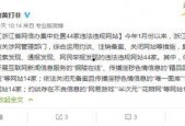在线国产成人精品