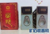 国产精品入,匠心独运，引领时代潮流的青春成长记